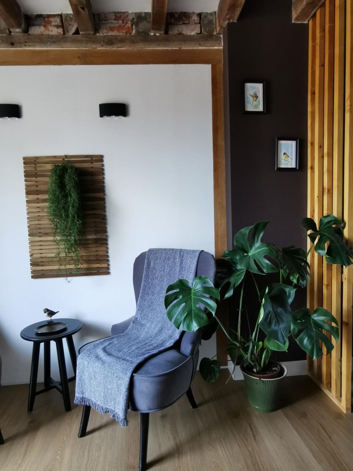 捷克里住宿加早餐旅馆 肖蒙索卢尔 外观 照片
